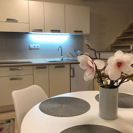 الشقق الفندقية Balatonfůzfőفي  Beachfront Studio Apartman المظهر الخارجي الصورة