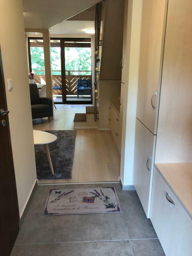 الشقق الفندقية Balatonfůzfőفي  Beachfront Studio Apartman المظهر الخارجي الصورة