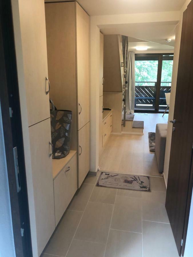 الشقق الفندقية Balatonfůzfőفي  Beachfront Studio Apartman المظهر الخارجي الصورة