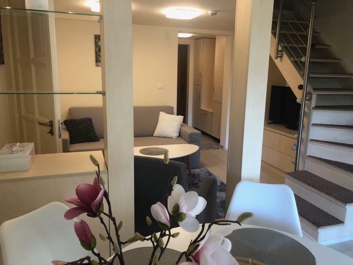 الشقق الفندقية Balatonfůzfőفي  Beachfront Studio Apartman المظهر الخارجي الصورة