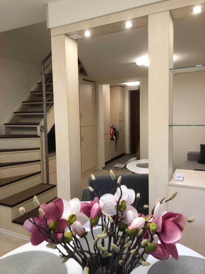الشقق الفندقية Balatonfůzfőفي  Beachfront Studio Apartman المظهر الخارجي الصورة