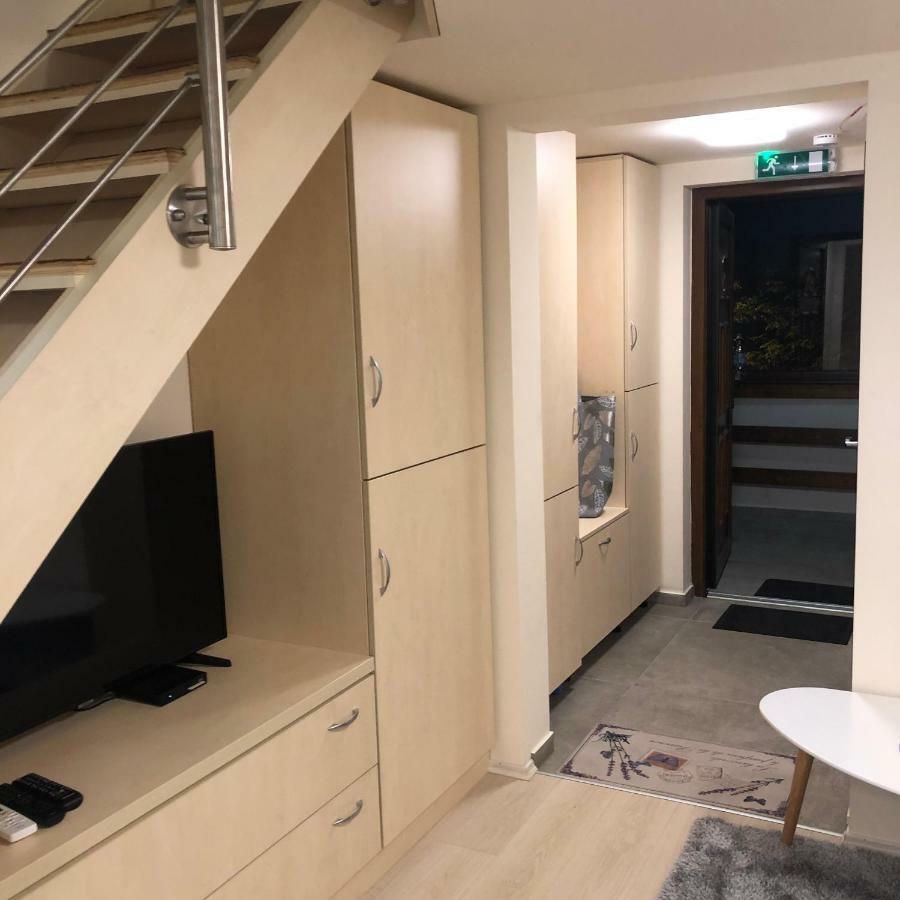الشقق الفندقية Balatonfůzfőفي  Beachfront Studio Apartman المظهر الخارجي الصورة
